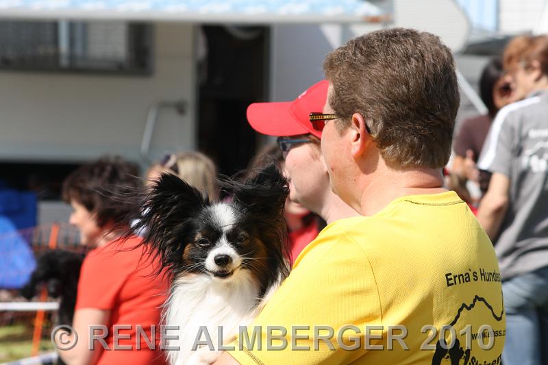 Bild 315.jpg